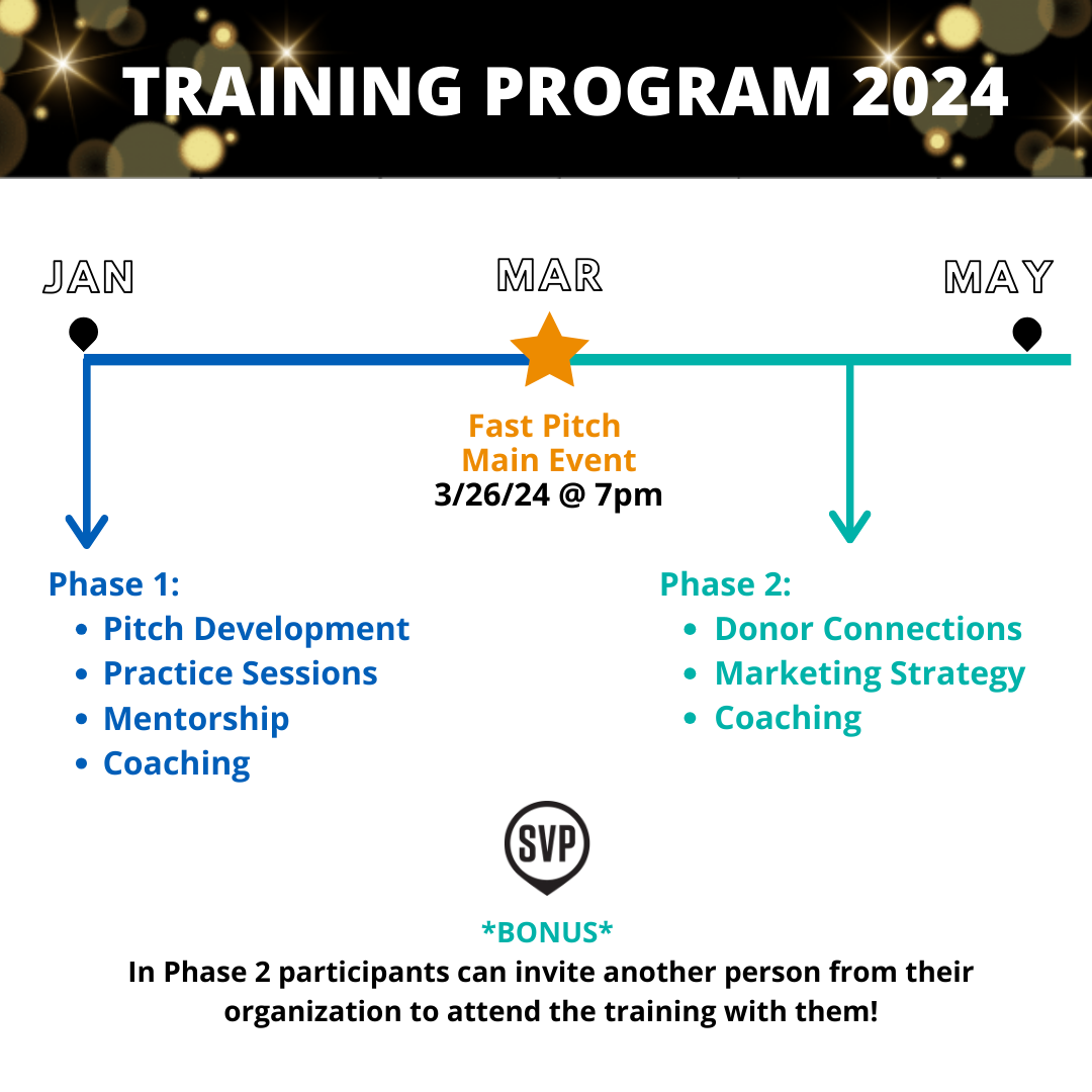 Fast Pitch Training Program overview graphic